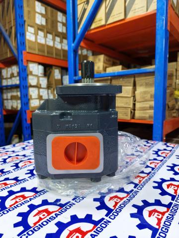 Bơm nâng hạ xe xúc Liugong 50CN